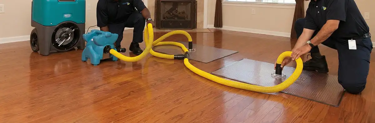 emergency water removal technicians extracting standing water from a home using professional equipment in Glendale, AZ